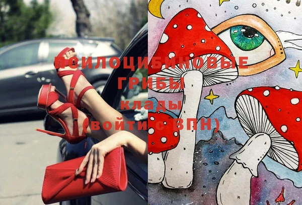 экстази Абинск