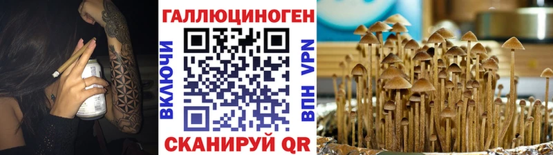 Галлюциногенные грибы MAGIC MUSHROOMS  наркота  blacksprut ССЫЛКА  Североморск 